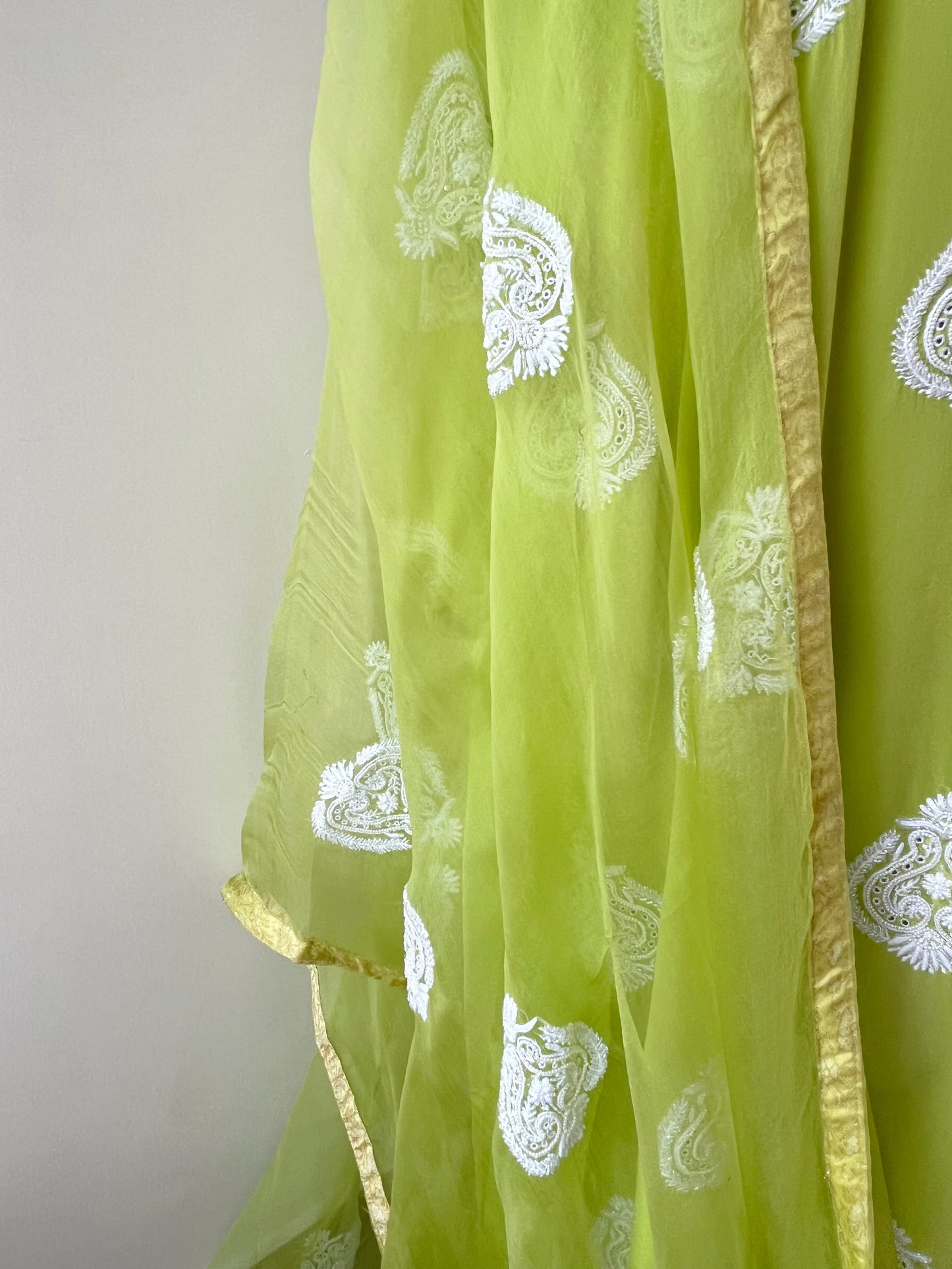 Organza Dupatta