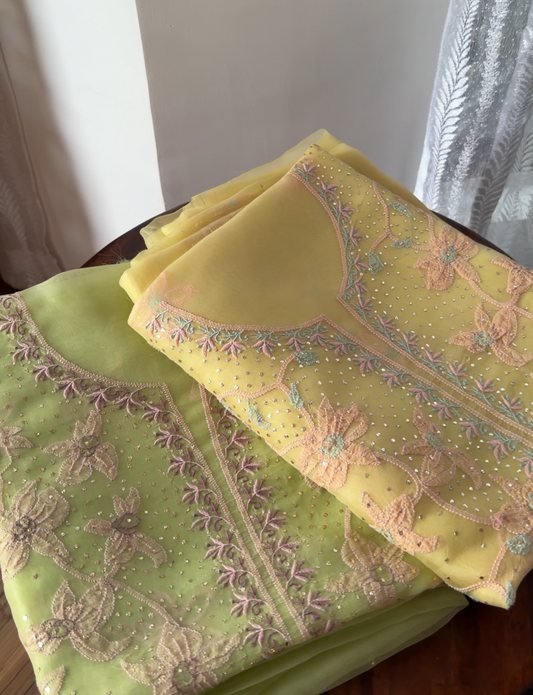 Pure Organza Silk Chikankari & Kamdani Suit Set