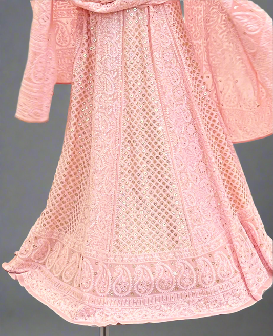 Pink Chikankari & Mukaish Lehenga Set