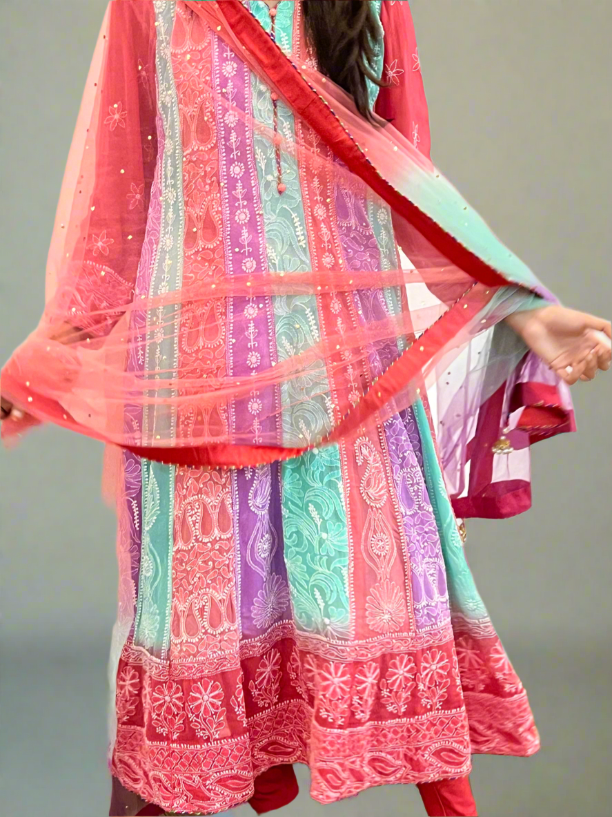 Multi Colour Chikankari Anarkali