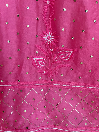 Coral Pink Chikankari and Mukaish Lehanga Set