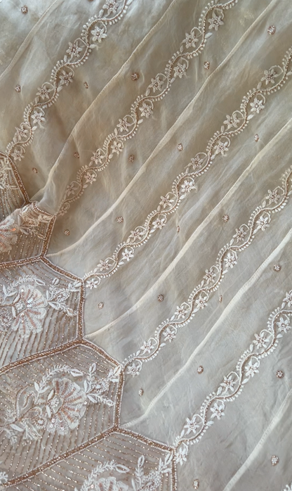Pure Organza Silk Anarkali – Hand-Embroidered Chikankari & Luxe Embellishments