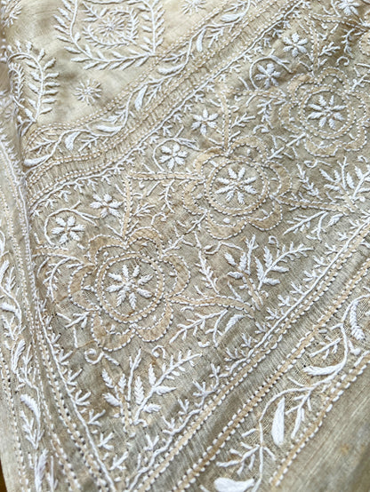 Close up of Pure Tussar Silk Saree With Chikankari 