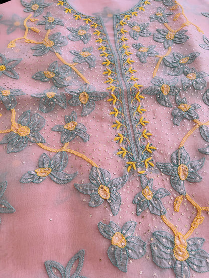 Pure Organza Silk Chikankari & Kamdani Suit Set