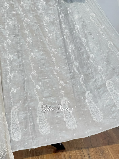 Silver Tissue Chikankari & Embellishments Anarkali