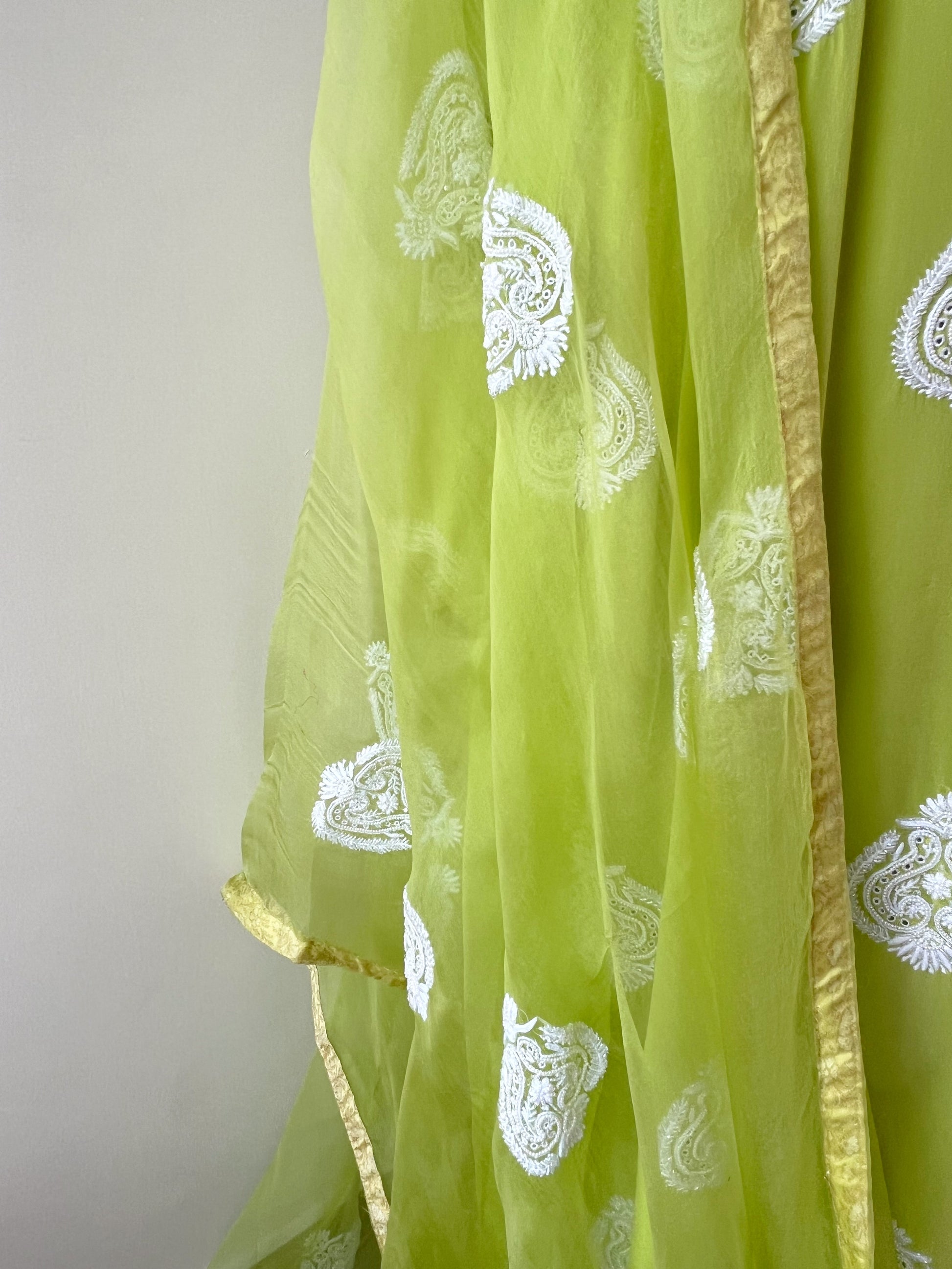 Organza Dupatta
