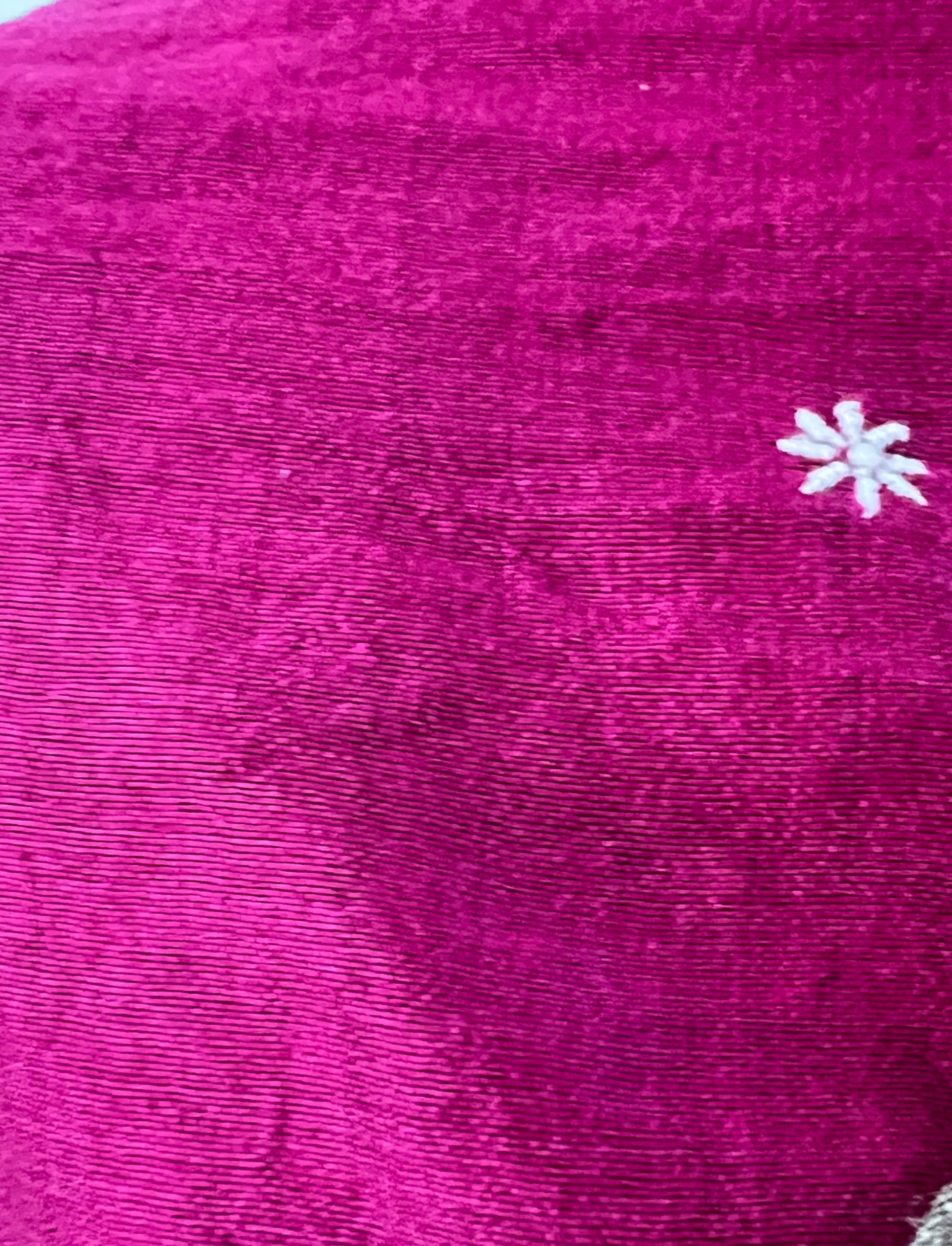 Blouse Fabric of Pure Tussar Silk Saree With Chikankari