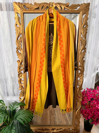 Olive Green Kurta Set with Multi Colour Chikankari & Haath Jaali