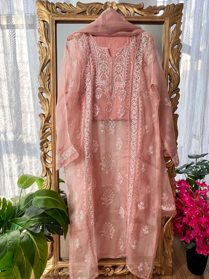 Hazelnut Pure Organza Silk Suit with Chikankari and Kamdani
