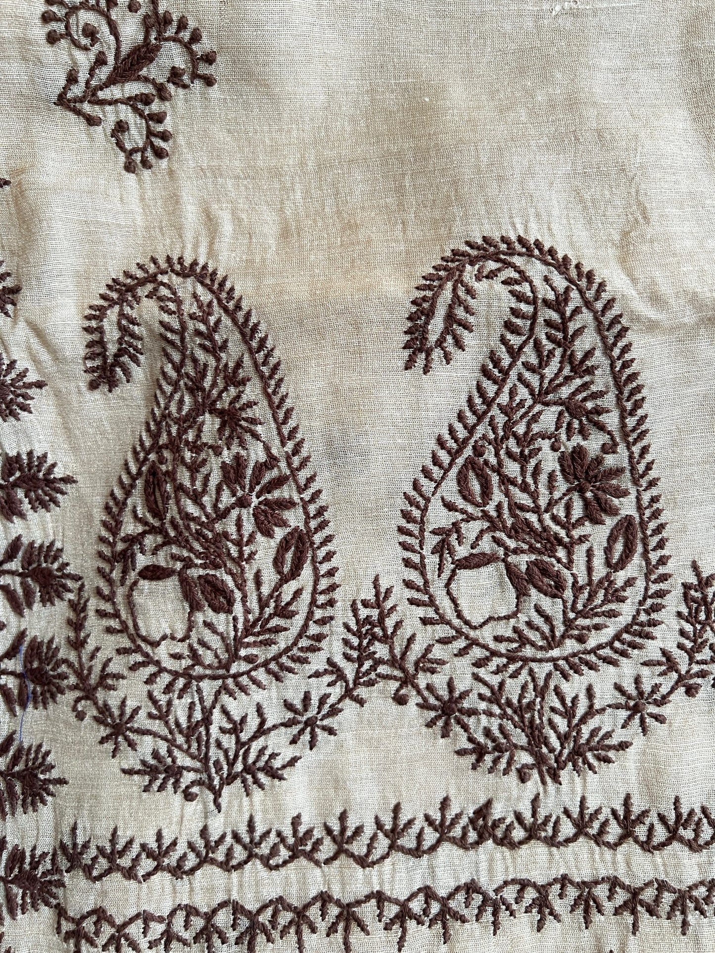 Close up Tissue Chanderi Silk with Chikankari