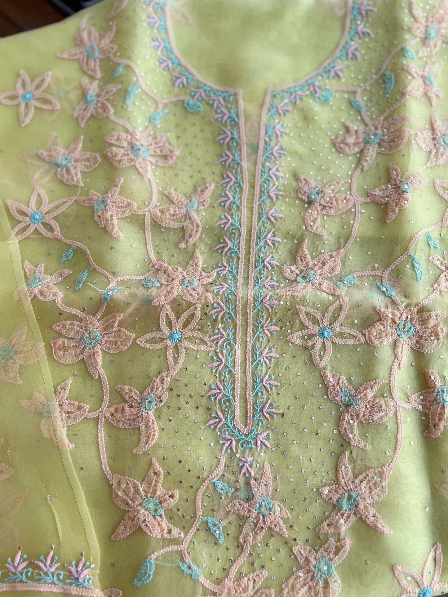 Pure Organza Silk Chikankari & Kamdani Suit Set