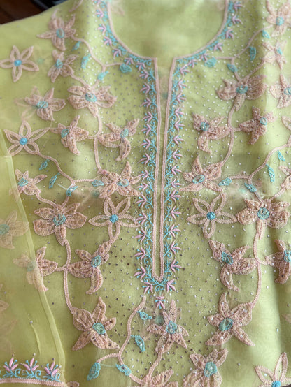 Pure Organza Silk Chikankari & Kamdani Suit Set