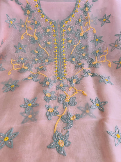 Pure Organza Silk Chikankari & Kamdani Suit Set