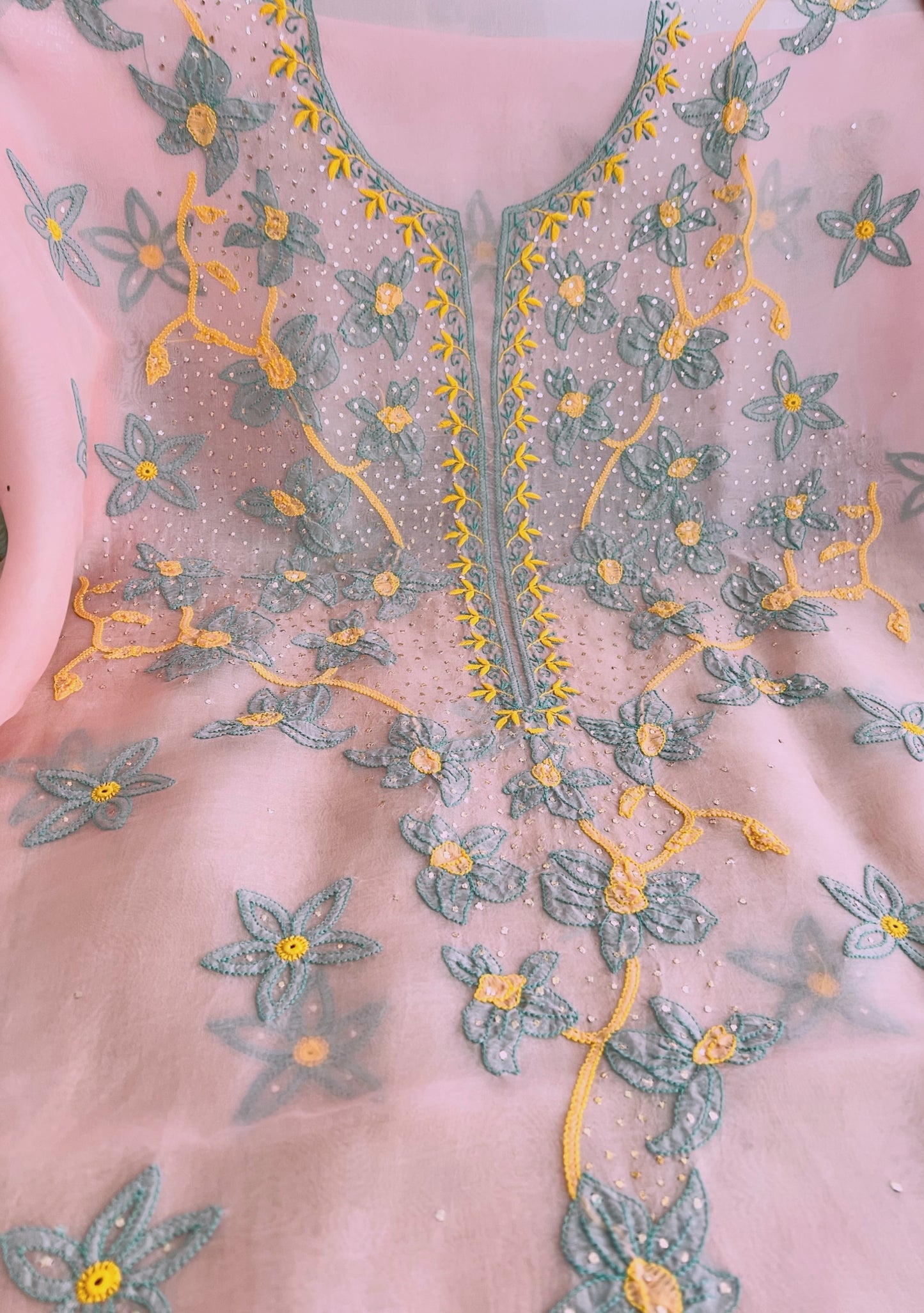 Pure Organza Silk Chikankari & Kamdani Suit Set