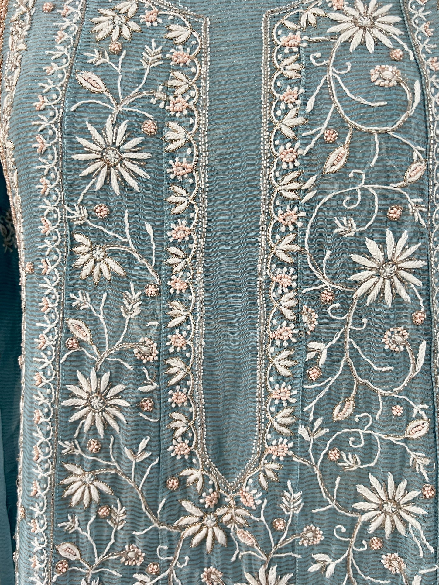 Blue Striped Tissue Chanderi Anarkali - Chikankari and Embellishments