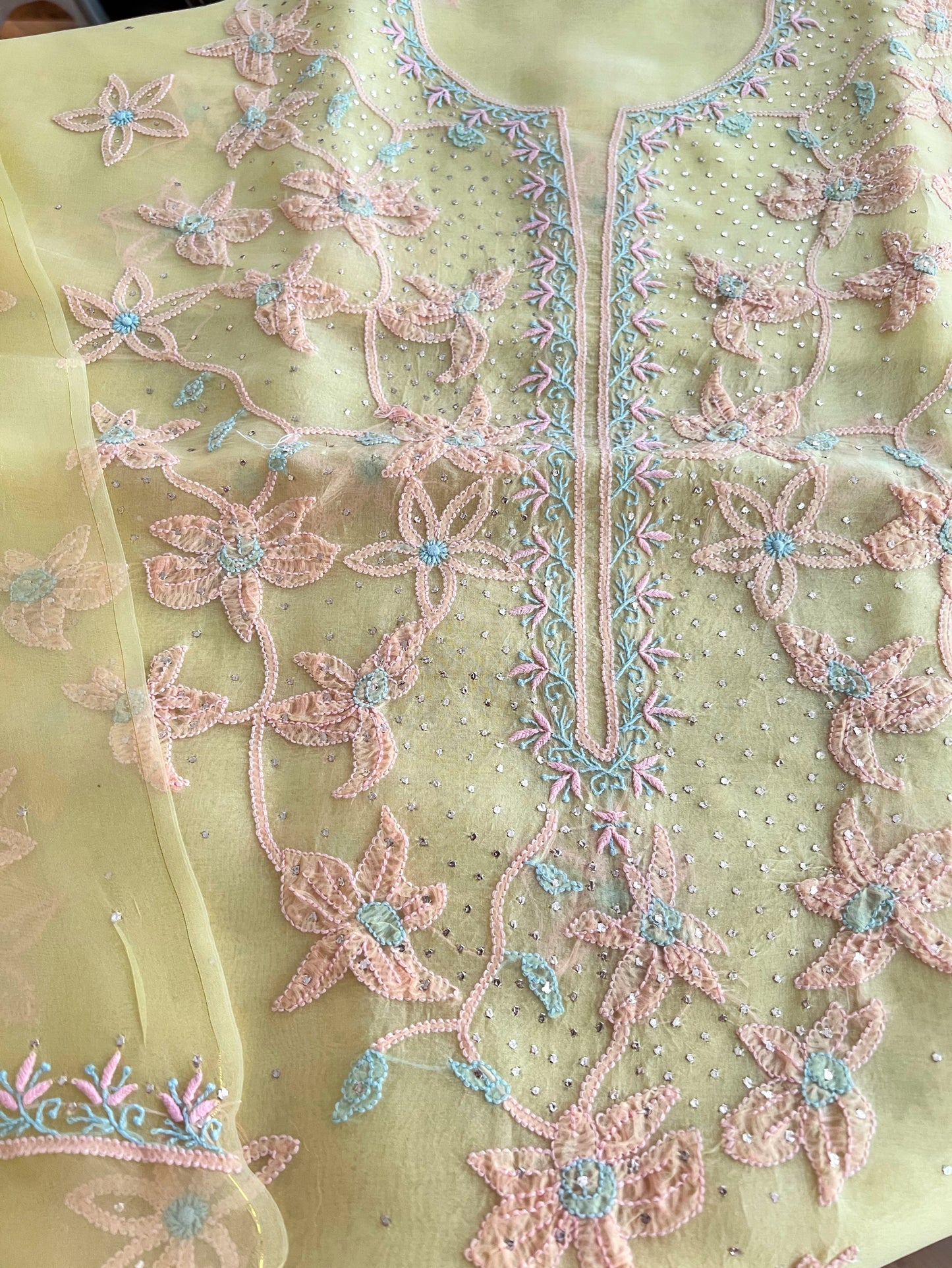 Pure Organza Silk Chikankari & Kamdani Suit Set