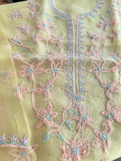 Pure Organza Silk Chikankari & Kamdani Suit Set