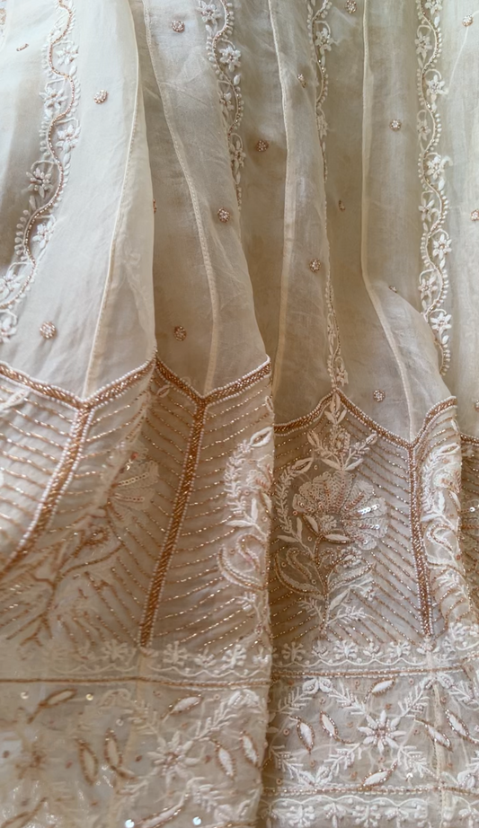 Pure Organza Silk Anarkali – Hand-Embroidered Chikankari & Luxe Embellishments