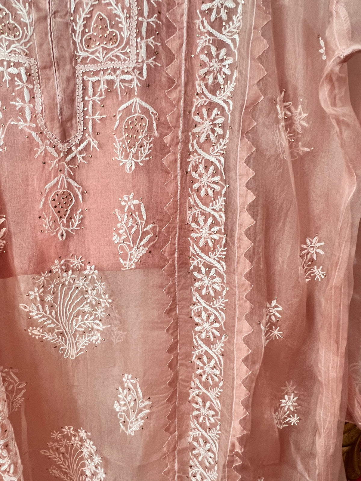Hazelnut Pure Organza Silk Suit with Chikankari and Kamdani