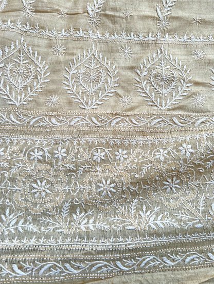 Close up of Pure Tussar Silk Saree With Chikankari 