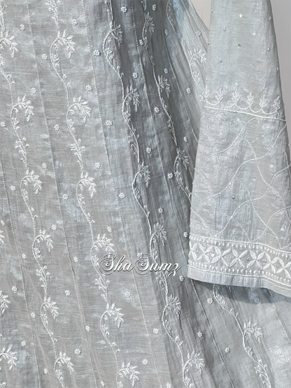 Silver Tissue Chikankari & Embellishments Anarkali