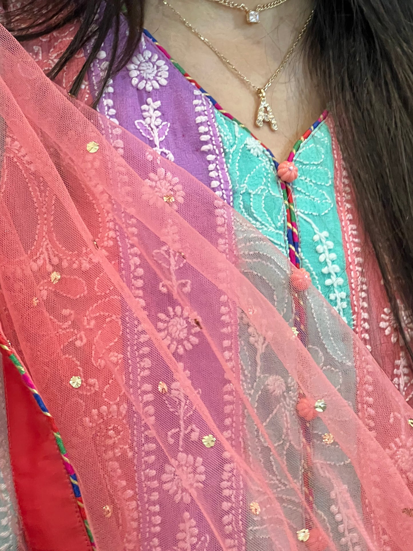 Multi Colour Chikankari Anarkali