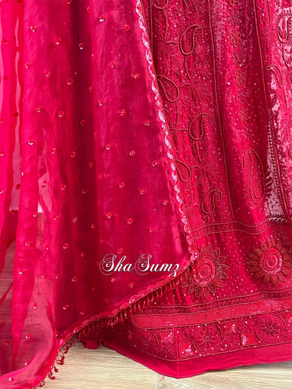 Carmine Red Anarkali with Chikankari & Embellishments.