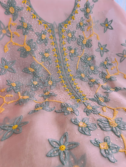 Pure Organza Silk Chikankari & Kamdani Suit Set