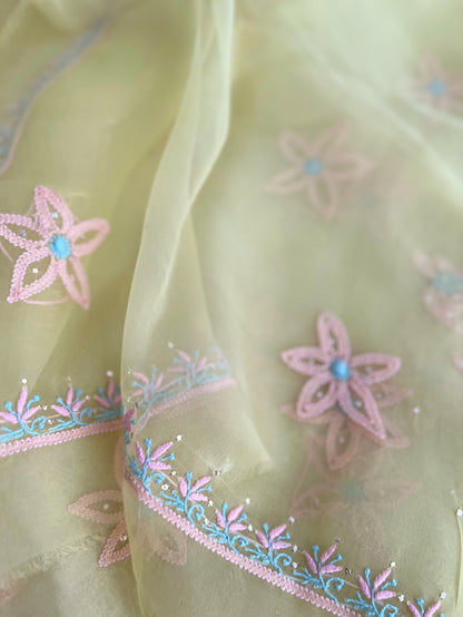Pure Organza Silk Chikankari & Kamdani Suit Set