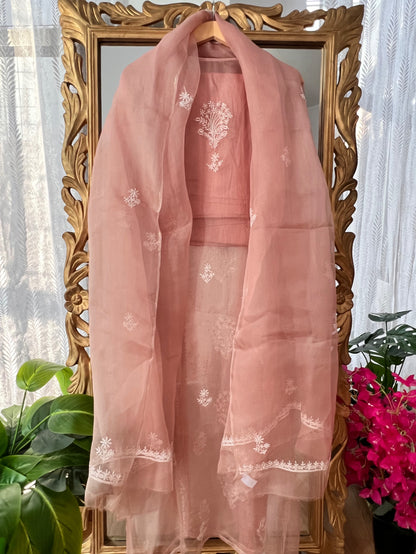 Hazelnut Pure Organza Silk Suit with Chikankari and Kamdani