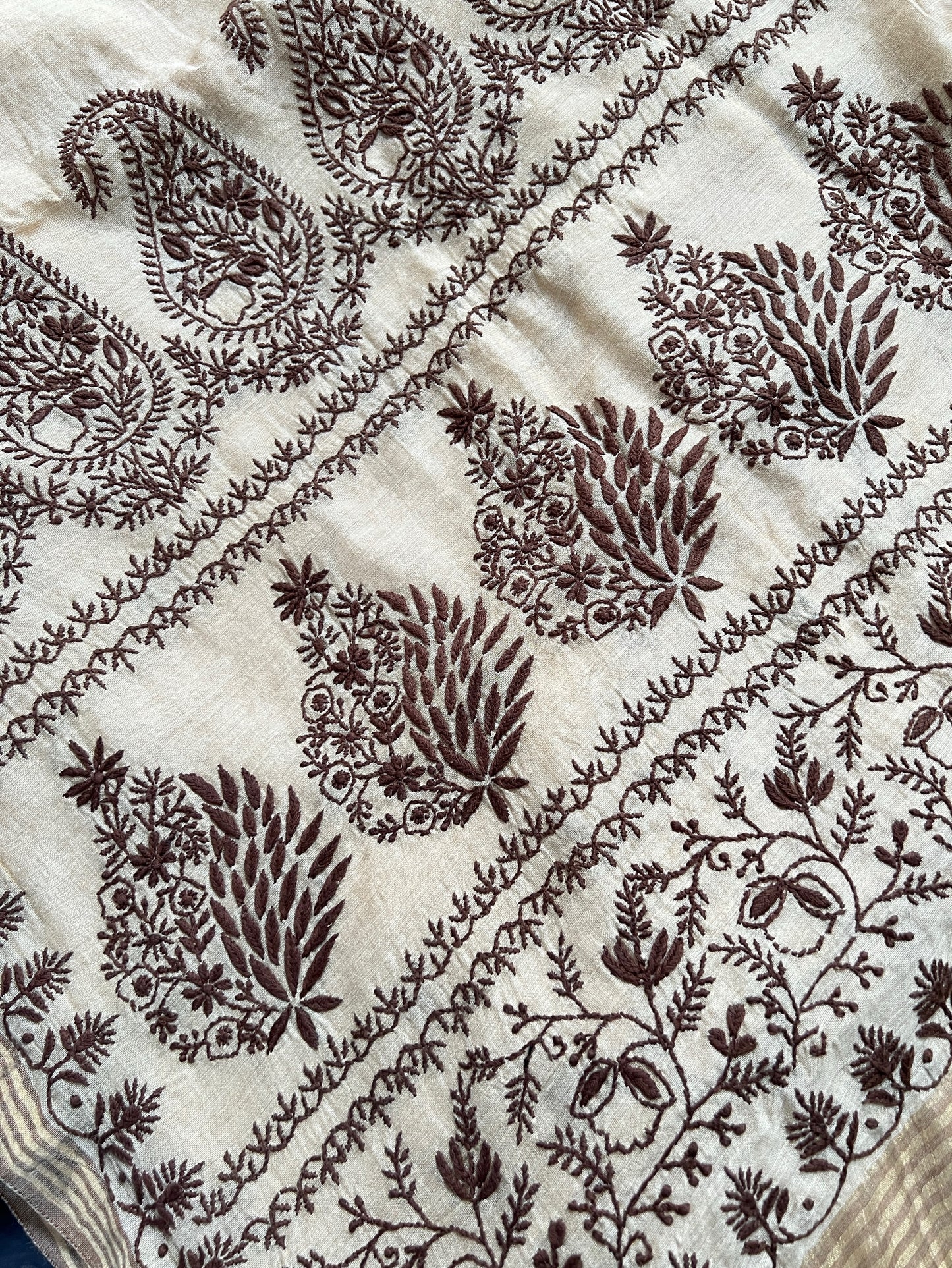 Close up Tissue Chanderi Silk with Chikankari