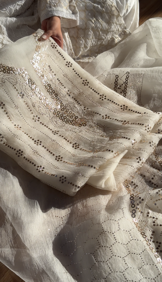 Pure Organza Silk Mukaish Set: The Canvas of Elegance