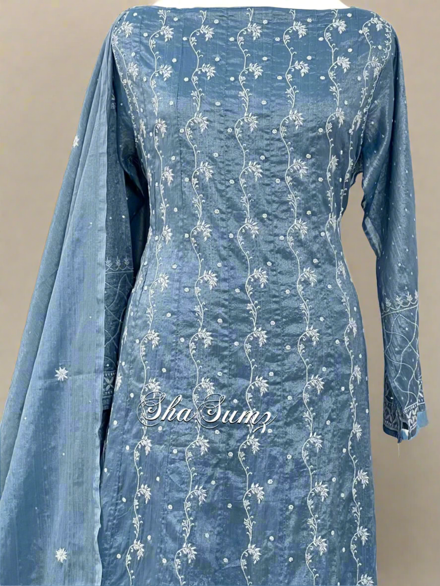 Blue Tissue Chanderi Silk Anarkali with Chikankari & Embellishments