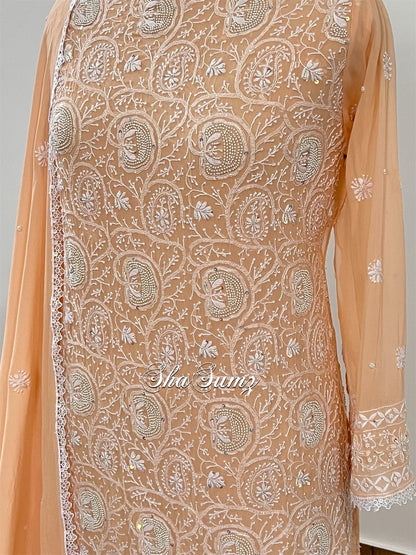 Pastel Peach Embellished Chikankari Suit