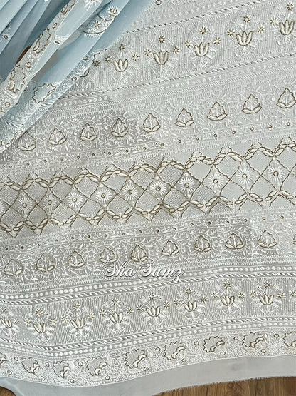 Powder Blue Saree with Chikankari & Embellishments