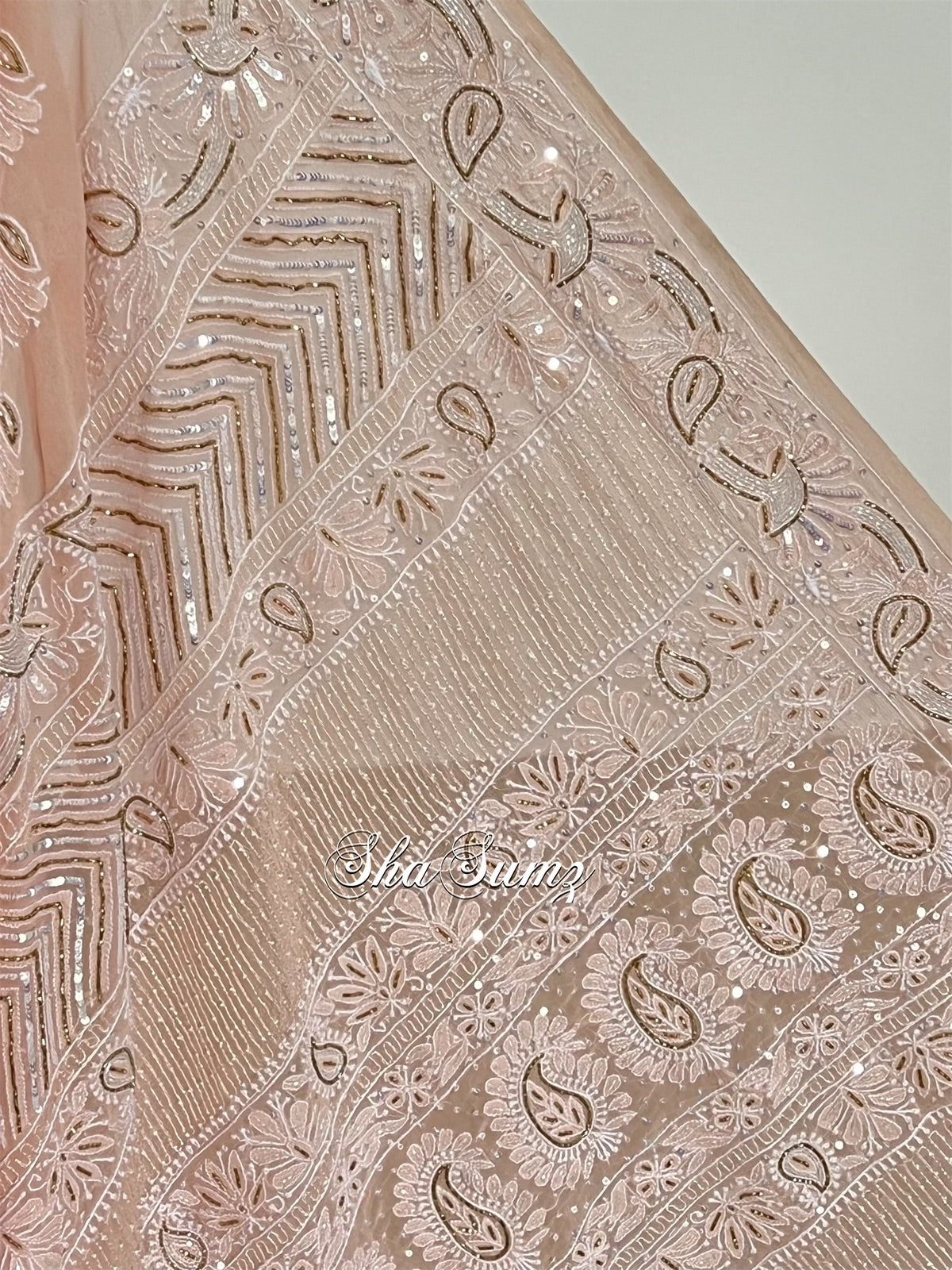 Dreamy Pastel Peach Chikankari & Embellishments Saree