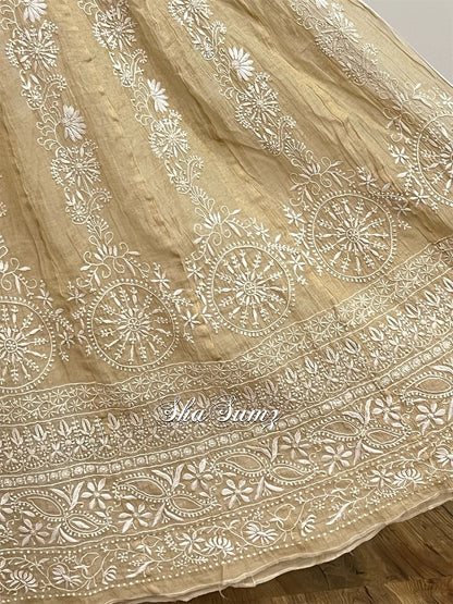 28 Kali Tissue Chikankari Anarkali