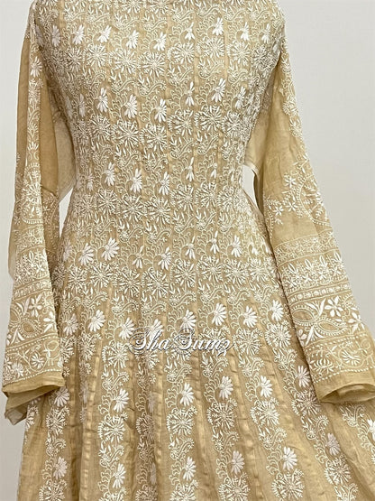 28 Kali Tissue Chikankari Anarkali