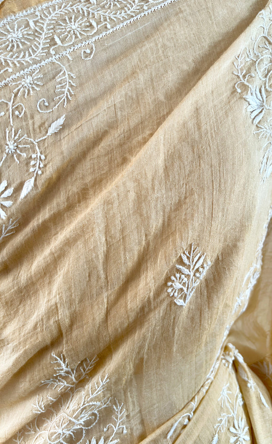 Tissue Chanderi Silk Saree with hand embroidered Chikankari