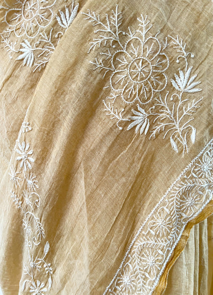 Tissue Chanderi Silk Saree with hand embroidered Chikankari