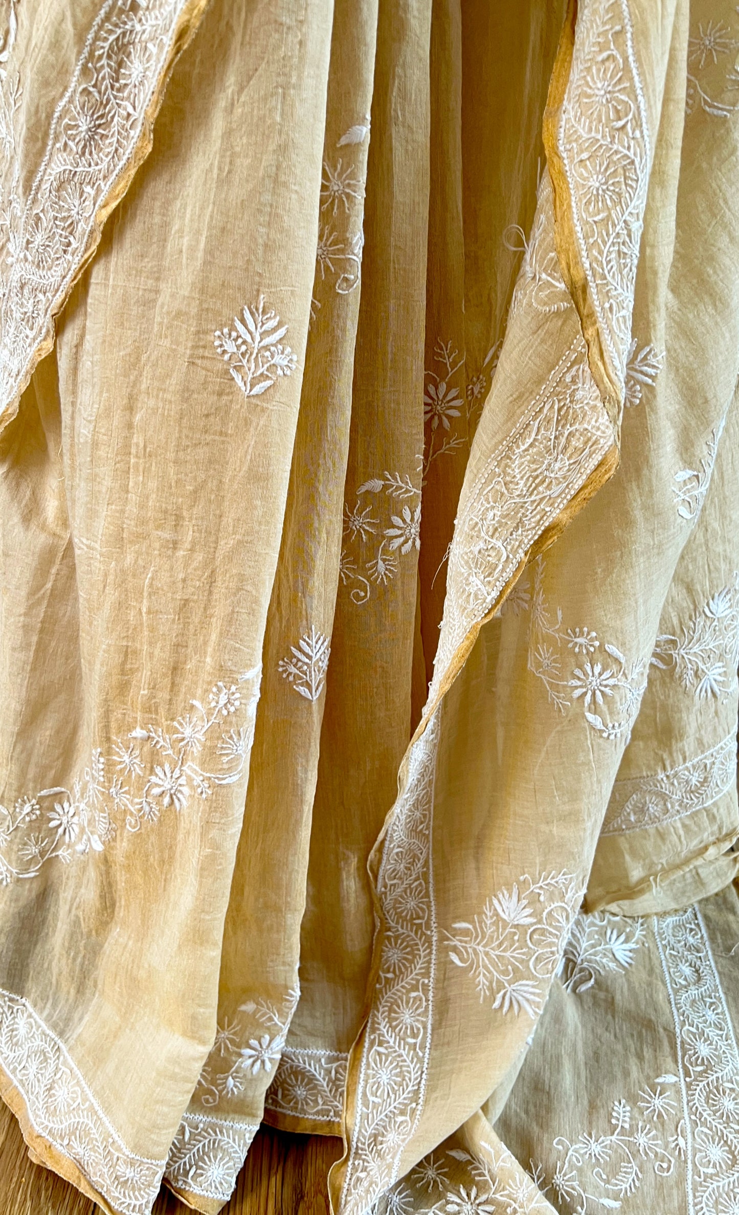 Tissue Chanderi Silk Saree with hand embroidered Chikankari
