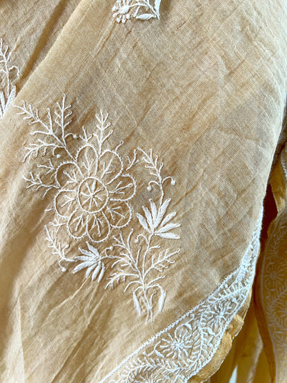 Tissue Chanderi Silk Saree with hand embroidered Chikankari