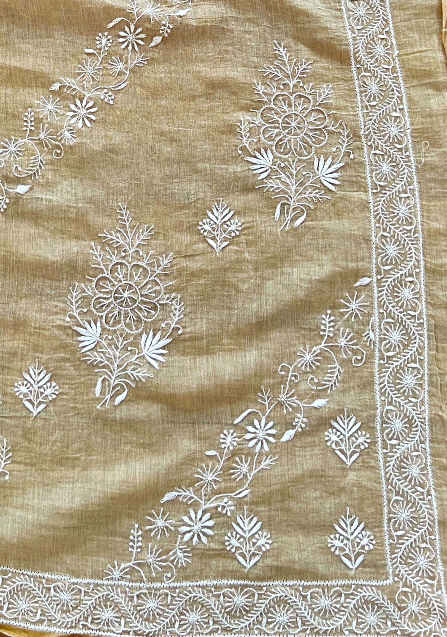 Tissue Chanderi Silk Saree with hand embroidered Chikankari