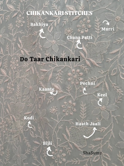 Detailed illustration of Do Taar Chikankari stitches, showcasing techniques like Bakhiya, Pechni, and Haath Jaali.