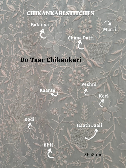 Detailed illustration of Do Taar Chikankari stitches, showcasing techniques like Bakhiya, Pechni, and Haath Jaali.