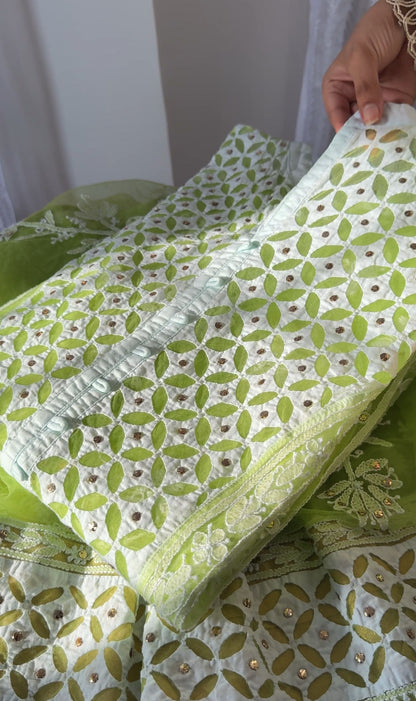 Lime Green Lucknowi Chikankari Suit on Net with Mukaish & Cutwork Applique