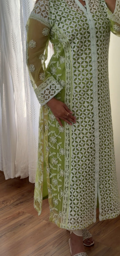 Lime Green Lucknowi Chikankari Suit on Net with Mukaish & Cutwork Applique
