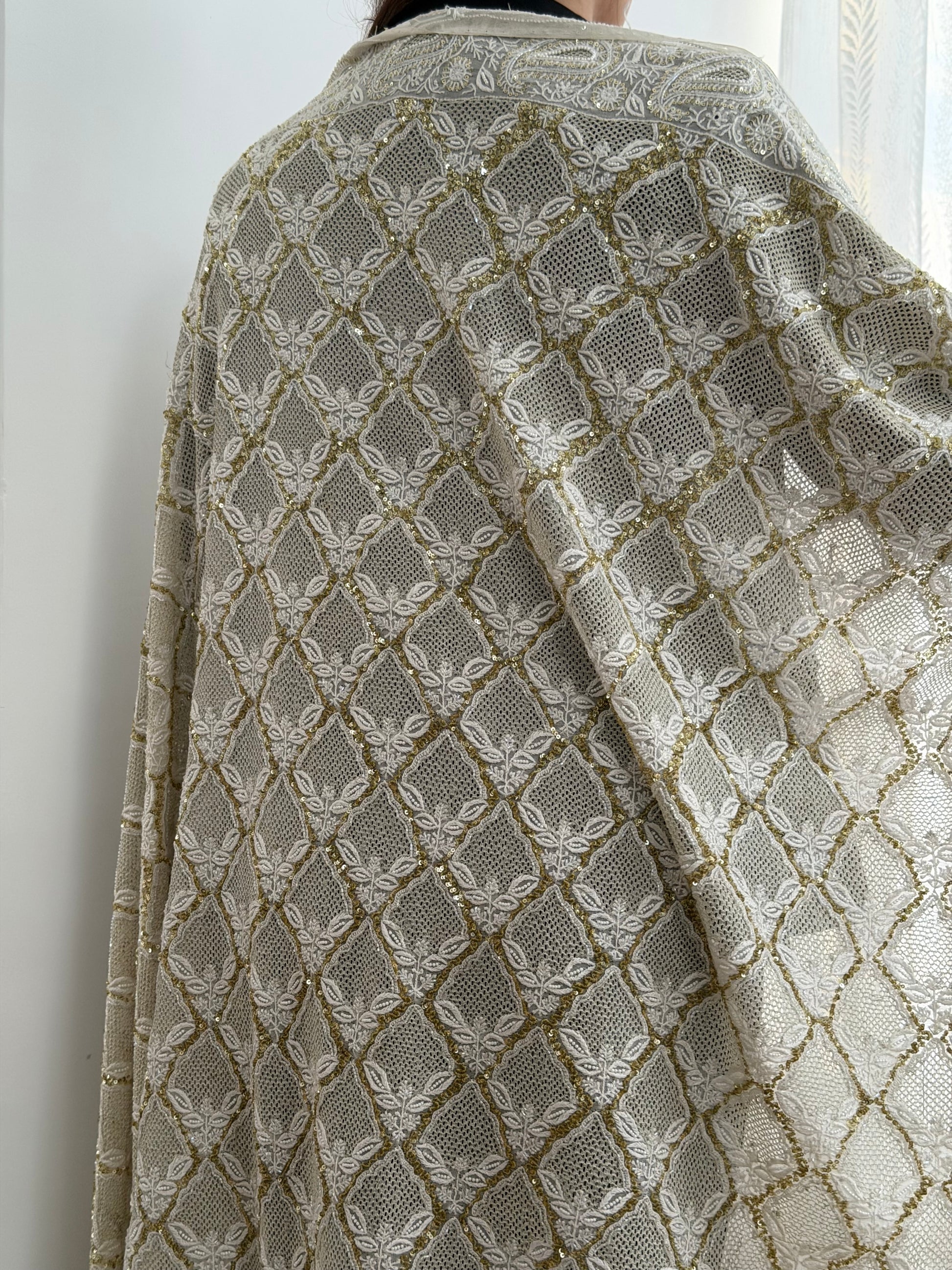 Full view of the haath Jaali on The Heirloom Edit Hand-Crafted Chikankari & Kasab Jaali Dupatta