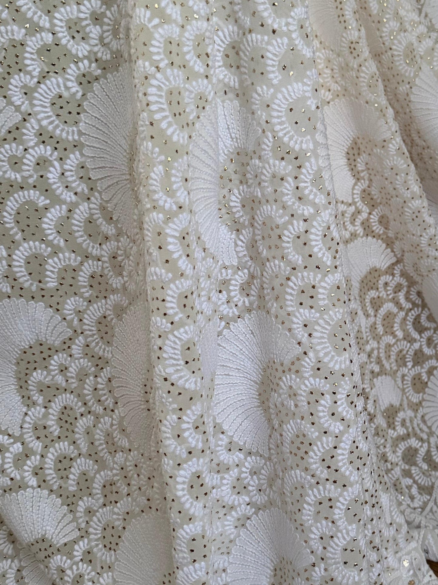 Pure Georgette Saree with Chikankari and Kamdani showing pleats