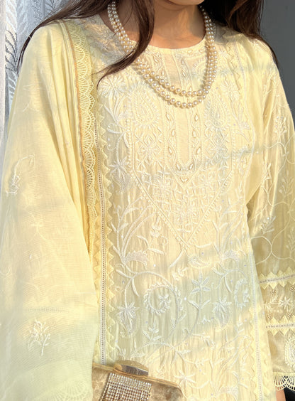 Ivory Chikankari Applique Maheshwari Cotton Embellished Suit